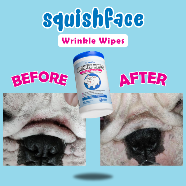 who-47393999931-squishface-wrinkle-wipes-5x7-dog-wipes-with-chlorhexidine-squishface-wrinkle-wipes-before-and-after-addressed-dog-nose-rope-september-10-2026-09102026-1789073325.png